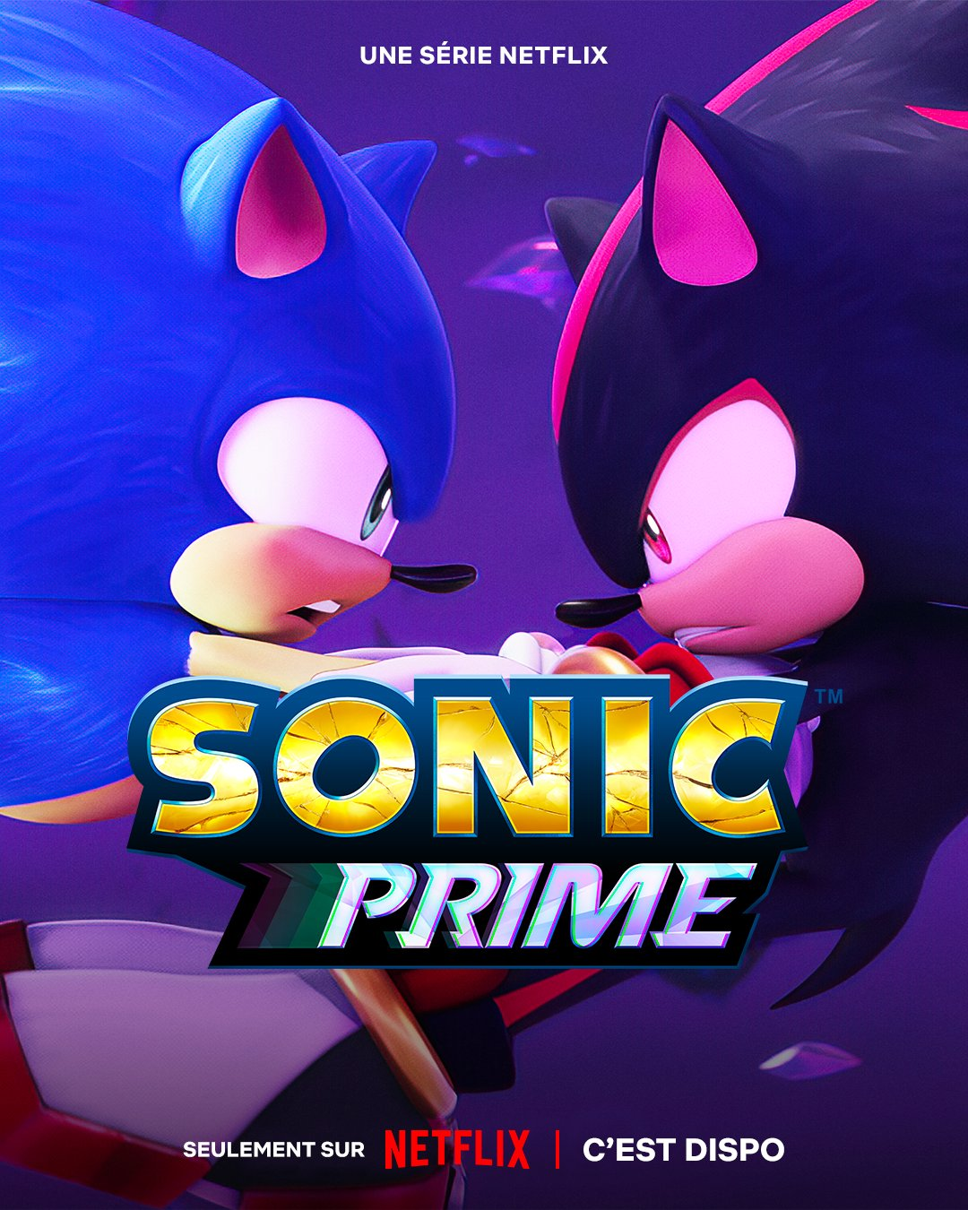 Affiche du projet Sonic Prime - Saison 2